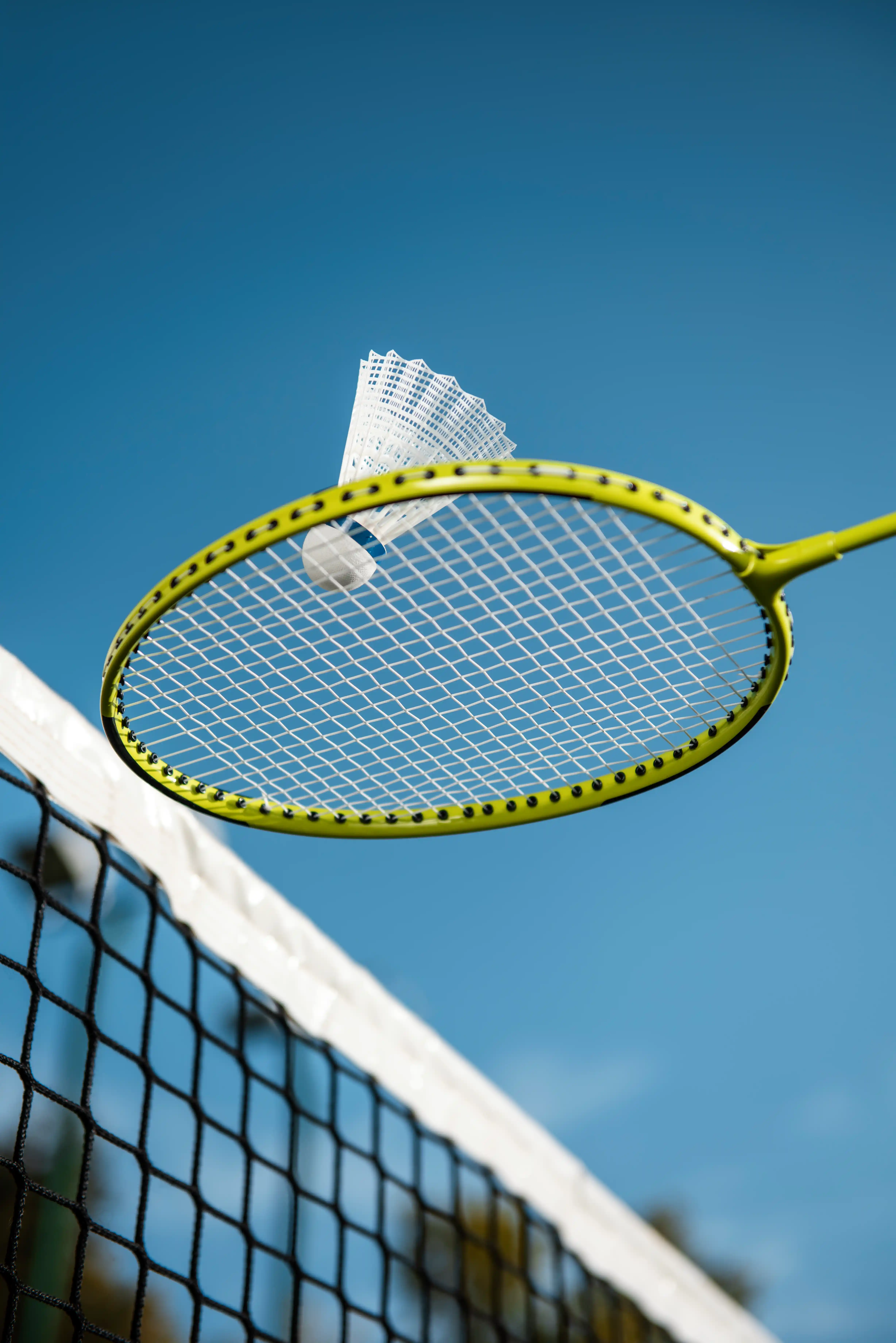 Team4 Aria  - Badminton Court